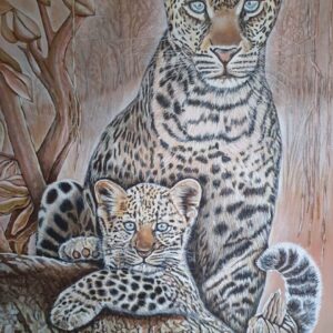 Dawn Light Leopards