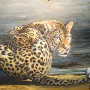 Leopard Always Alert