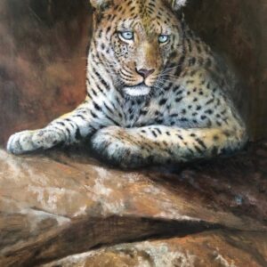 Leopard,Keeping Watch