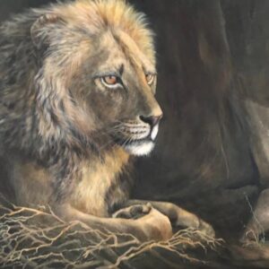 Lion,his majesty in waiting